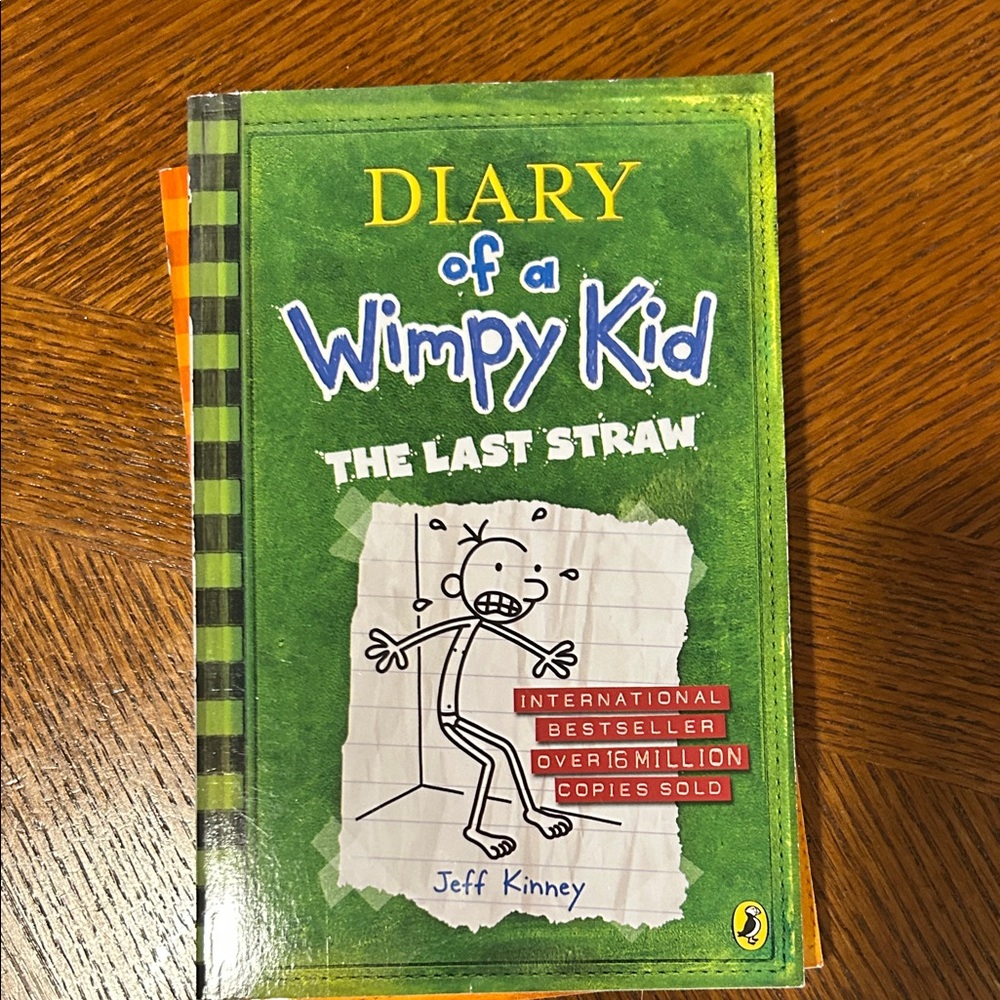 Diary of a Wimpy Kid: Dog Days Book - Picture 10 of 11